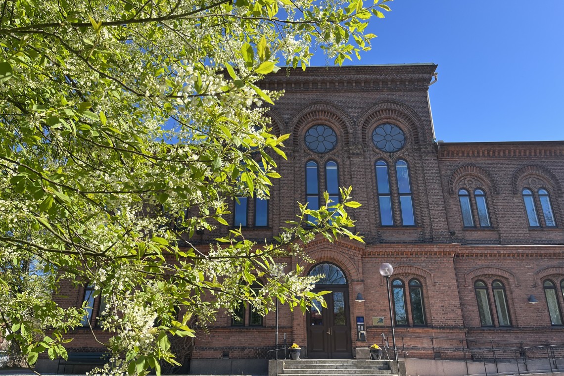 May morning at Pufendorf IAS.